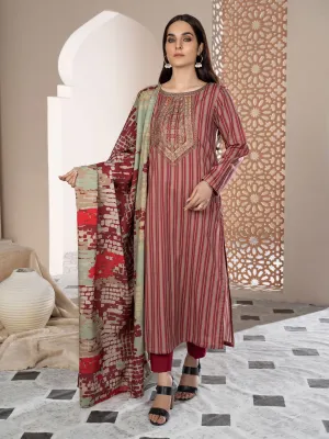 2 Piece Embroidered Winter Cotton Suit