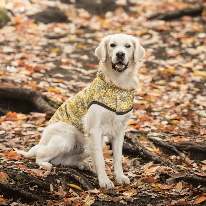 GF Pet Reversible Raincoat Yellow For Dogs