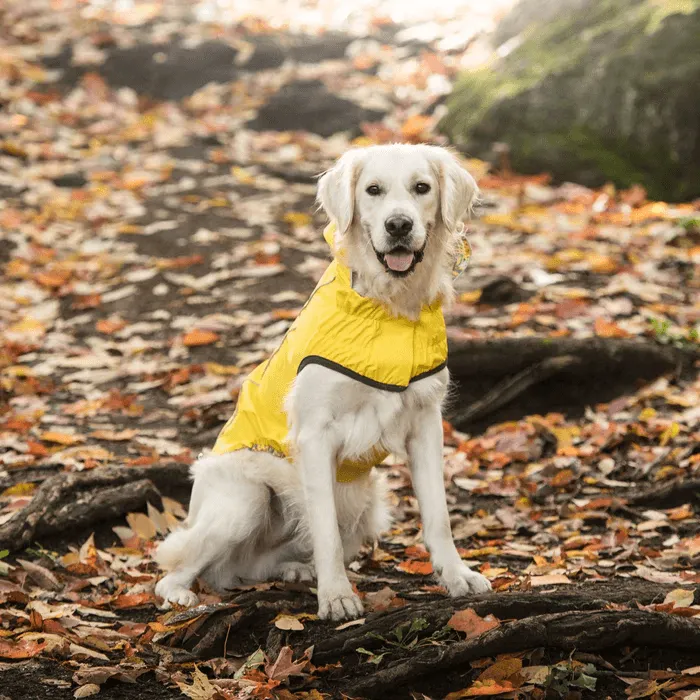 GF Pet Reversible Raincoat Yellow For Dogs