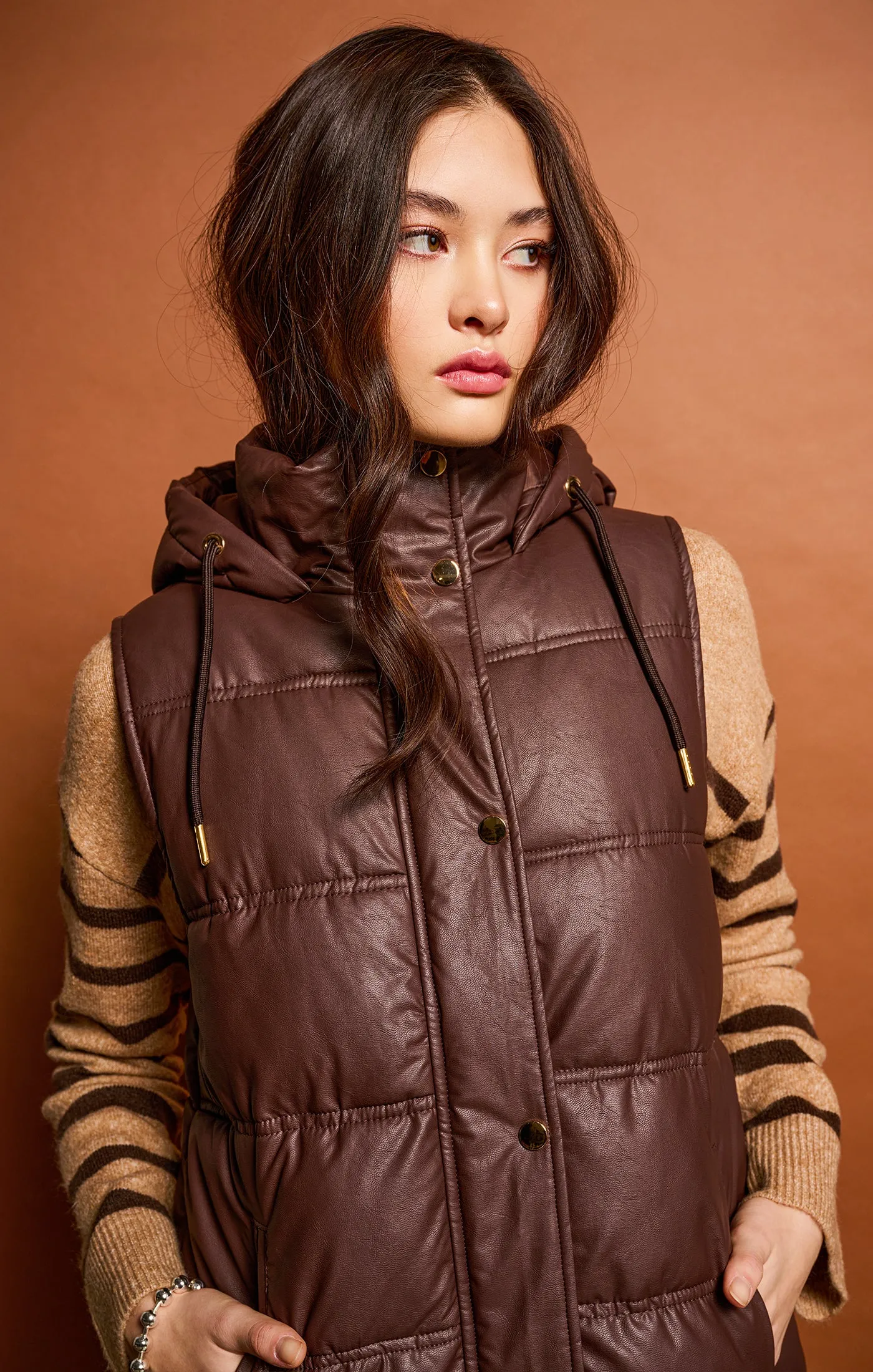 Hooded Puffer Vest